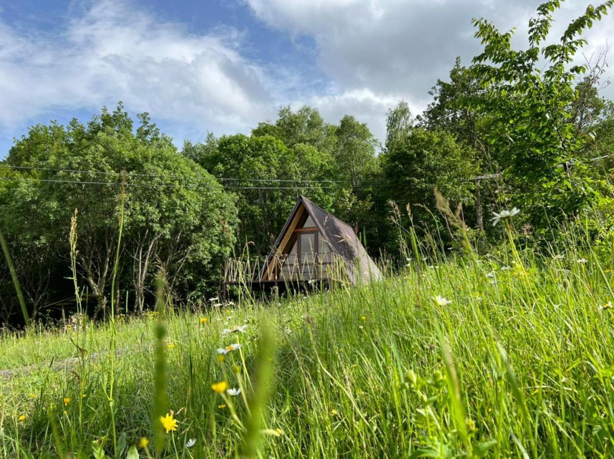Glamping Wolf Mount Villa Margahovit Bilik gambar